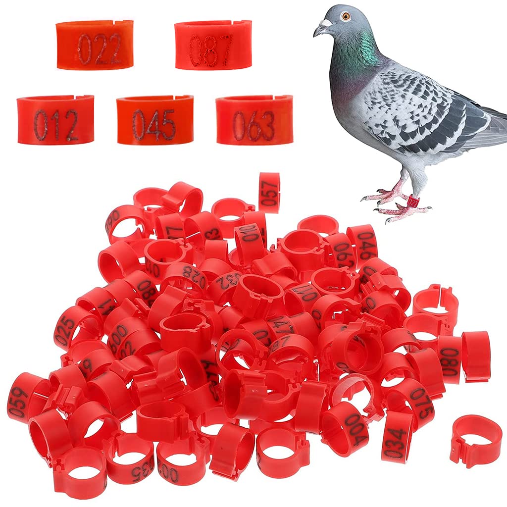 Qpets 100 Pcs Bird Leg Rings-Numbered, Bird Identification Word Shaped Foot ringsLeg Bands Poultry, Leg Bands Clip on Leg Rings for Bantam Finch Dove Pigeons Lovebird Coturnix Quail Qpets 100 Pcs Bird Leg Rings-Numbered, Bird Identification Word Shaped Foot ringsLeg Bands Poultry, Leg Bands Clip on Leg Rings for Bantam Finch Dove Pigeons Lovebird Coturnix Quail